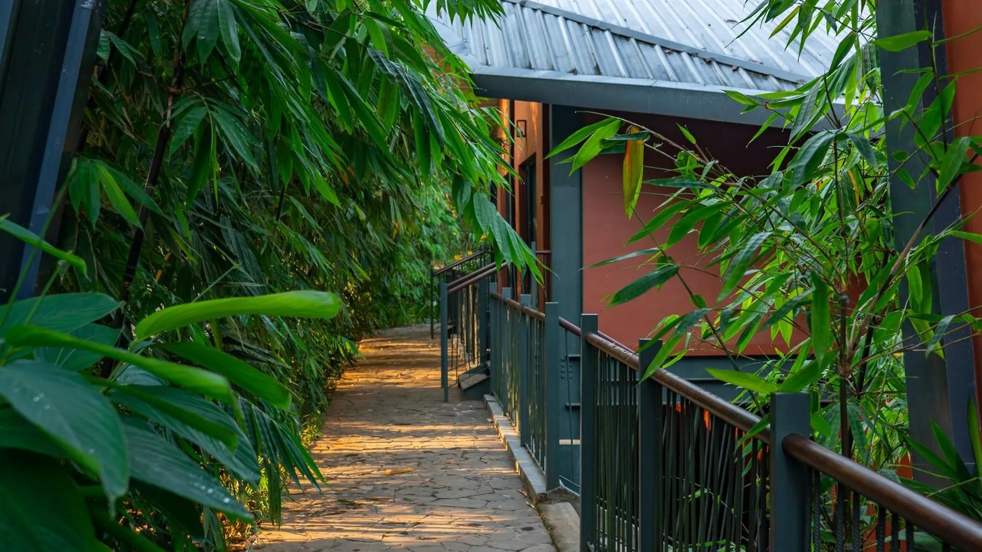 Chalet Vyna Hillock Resort And Spa Vythiri